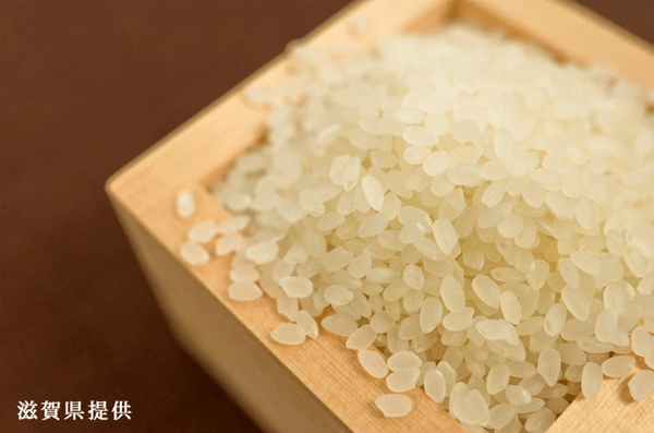 精米したみずかがみの画像